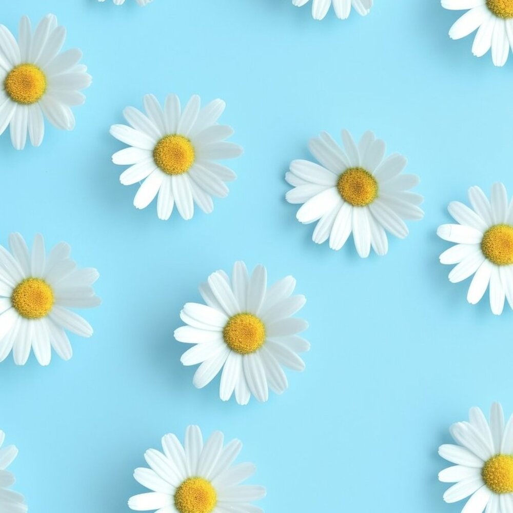 Meet your Posher, Turquoise_00